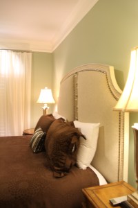 Rustic Georgia Wedding Venue