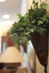 Rustic Georgia Wedding Venue